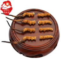 福曦堂 西藏那曲 3根/克 内装1克 断草 头尾都有 冬虫夏草 那曲虫草 虫草
