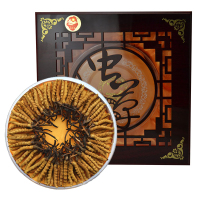福曦堂 西藏高海拔 虫草 6根/克 内装10克 那曲冬虫夏草 冬虫夏草 虫草