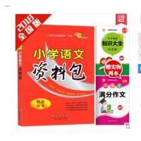 2018小学语文资料包全国通用版 小学语文知识大全集锦基础手册大集结 一二三四五六年级小升初小学生辅导资料教辅书籍