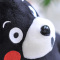 日本原装 酷MA萌(KUMAMON) 熊本熊毛绒公仔 毛绒玩具 毛绒玩偶 惊讶表情 柔软舒适 品质填充 黑色28cm