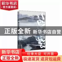 正版 一剑九琊 一十四洲著 广东旅游出版社 9787557027704 书籍