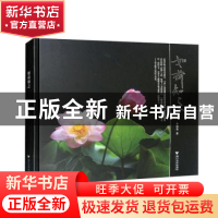 正版 如荷知之 车双良著 浙江大学出版社 9787308227919 书籍