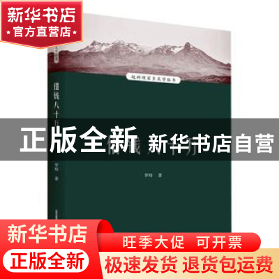 正版 借钱八十万 罗琦著 北岳文艺出版社 9787537865173 书籍