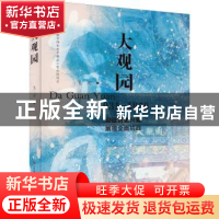正版 大观园 飞天著 济南出版社 9787548850151 书籍