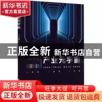 正版 产业元宇宙 彭昭 电子工业出版社 9787121435119 书籍