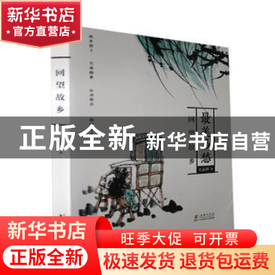 正版 回望故乡 王志祥著 海豚出版社 9787511059093 书籍