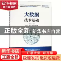 正版 大数据技术基础 薛志东 人民邮电出版社 9787115483072 书籍