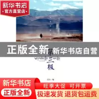 正版 第三极 郭新 著 五洲传播出版社 9787508531632 书籍