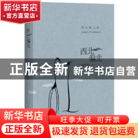 正版 西北偏北 邱华栋著 百花洲文艺出版社 9787550017078 书籍
