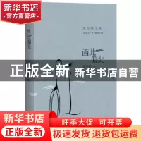 正版 西北偏北 邱华栋著 百花洲文艺出版社 9787550017078 书籍