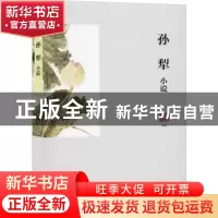 正版 孙犁小说 孙犁 浙江文艺出版社 9787533940096 书籍