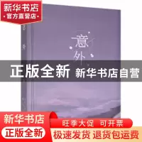 正版 意外 文风著 春风文艺出版社 9787531356011 书籍