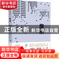 正版 像素 陈武 中国文史出版社 9787520532433 书籍