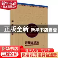 正版 寻秘古埃及:勇闯法老之国的艺术家与探险家