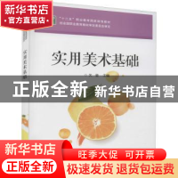 正版 实用美术基础 关莹主编 电子工业出版社 9787121248740 书籍