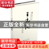 正版 王充闾散文选集 王充闾 百花文艺出版社 9787530659229 书籍