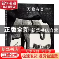 正版 万物有灵(国际野生生物摄影年赛第51届获奖作品)(精)