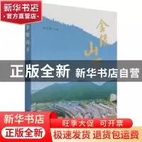 正版 金银山下 张先强 海峡文艺出版社 9787555026747 书籍