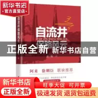 正版 自流井保路风云 王锐著 北方文艺出版社 9787531748656 书籍
