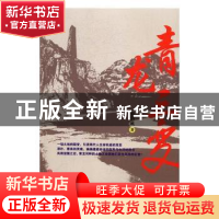正版 青龙三变 张洪成 中国文联出版社 9787519022075 书籍