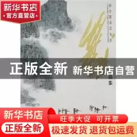 正版 叶维作品集 叶维 江苏美术出版社 9787102040974 书籍