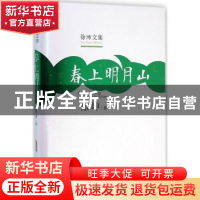 正版 春上明月山 徐坤 安徽文艺出版社 9787539652313 书籍