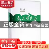 正版 春上明月山 徐坤 安徽文艺出版社 9787539652313 书籍