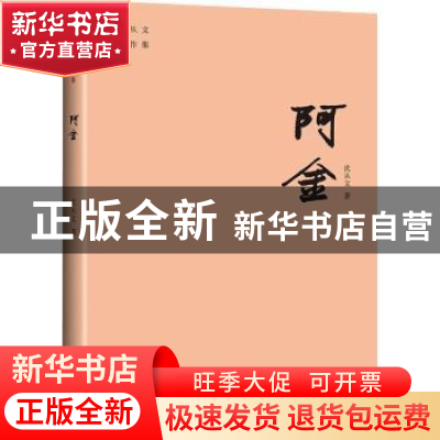 正版 阿金/沈从文著作集 沈从文 天地出版社 9787545559293 书籍