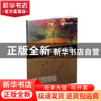 正版 共同引领孩子未来 高琛 辽宁教育出版社 9787538282115 书籍