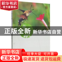 正版 花儿虫儿:2 肖家斌 厦门大学出版社 9787561581872 书籍