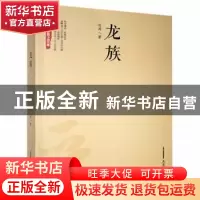 正版 龙族 孙涛著 北岳文艺出版社 9787537853095 书籍