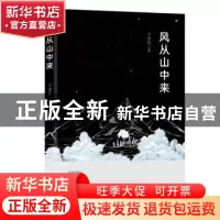正版 风从山中来 丁为民 九州出版社 9787522500485 书籍
