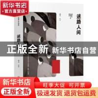 正版 迷路人间 孙未[著] 湖南文艺出版社 9787540486327 书籍