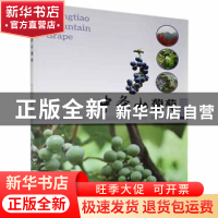 正版 中条山葡萄 师守国 中国林业出版社 9787503899973 书籍