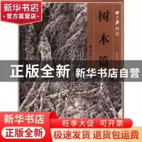 正版 陈永锵画谱 徐南铁主编 岭南美术出版社 9787536246942 书籍