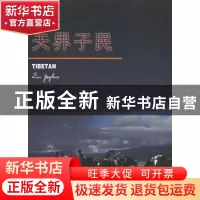 正版 天界子民 林晶华 岭南美术出版社 9787536220607 书籍