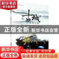 正版 在古城安放灵魂 楚仁君 安徽文艺出版社 9787539670966 书籍