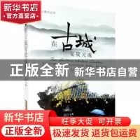 正版 在古城安放灵魂 楚仁君 安徽文艺出版社 9787539670966 书籍