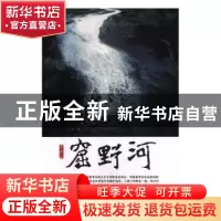 正版 窟野河 亚东著 太白文艺出版社 9787551314923 书籍