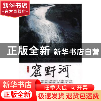 正版 窟野河 亚东著 太白文艺出版社 9787551314923 书籍