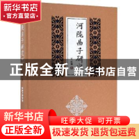 正版 河陇曲子研究 王正强 敦煌文艺出版社 9787546813943 书籍