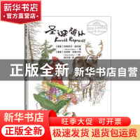 正版 圣诞随从 特奥多尔·施托姆 重庆出版社 9787229138974 书籍