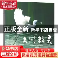 正版 大湖精灵 鲁增敬 中国摄影出版社 9787517906735 书籍