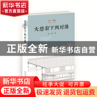 正版 大慈岩下两村落 高婷 北京出版社 9787200134056 书籍