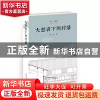 正版 大慈岩下两村落 高婷 北京出版社 9787200134056 书籍
