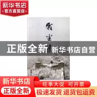 正版 霜尘集 王志滨 华龄出版社 9787516906972 书籍
