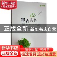 正版 审计实务 唐亮 电子工业出版社 9787121367809 书籍
