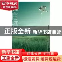 正版 独自远行 陈翠著 新星出版社 9787513303255 书籍