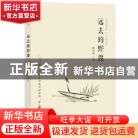 正版 远去的野渡 蒋兴强著 四川文艺出版社 9787541155345 书籍