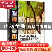 正版 牙髓病临床治疗技术
